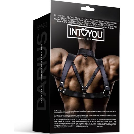 Intoyou Bdsm Line Darius Chest Bondage zirglietas vīriešiem, vegānu āda
