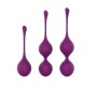 Engily Ross Taylor 2.0 Kegel Balls Silicone Purple