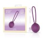 Engily Ross Leigh Kegel Ball silikoninis violetinis