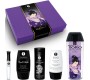 Shunga Kits SHUNGA – NAUGHTIER KIT