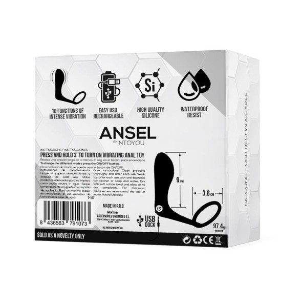 Tardenoche Ansel Anal Plug with Vibration and Cock Ring USB Silicone