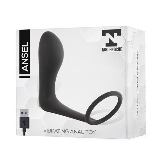 Tardenoche Ansel Anal Plug with Vibration and Cock Ring USB Silicone