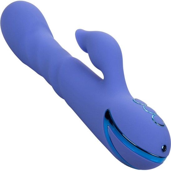 California Exotics LA LOVE VIBRATOR & SUCKER BLUE, BY CALIFORNIA DREAMING