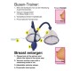 You2Toys Breast Suction Cups