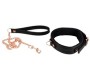 Bad Kitty Collar black