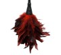 Fetish Fantasy Series FFS Frisky Feather Duster