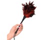 Fetish Fantasy Series FFS Frisky Feather Duster