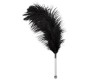 Bad Kitty Feather black acrylic