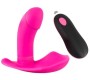 Sweet Smile RC Panty Vibrator