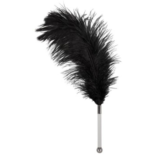 Bad Kitty Feather black acrylic