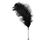 Bad Kitty Feather black acrylic