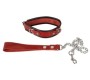 Wild Thing By Zado Leather Collar and Leash