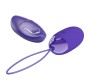 Pretty Love - BERGER YOUTH VIOLATING EGG REMOTE CONTROL VIOLET