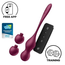 Satisfyer Love Birds Vary Connect App Wine Red