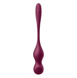 Satisfyer Love Birds Vary Connect App Wine Red