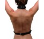 Xr - Strict WOMEN'S BLACK CHEST HARNESS