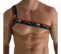 Macho Underwear MACHO - ROMĀŅU ZIKTAS PRIDE S/M