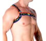 Macho Underwear MACHO - ROMĀŅU ZIKTAS PRIDE S/M