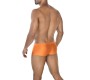 Cut4Men C4MSPX13 Hipster Brief Copper Spring