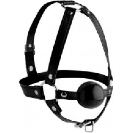 Xr - Strict GAUG WITH BLACK HEAD HARNESS