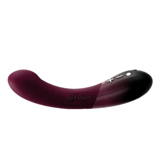 Hot Octopuss Zems un Augsts Vibrators 2 Motors Kurve