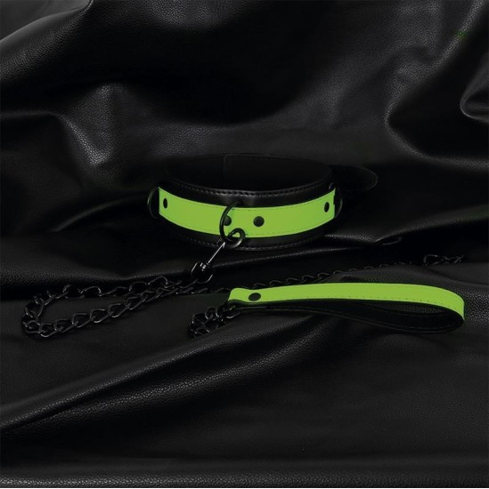 Intoyou Shining Line Glow in the Dark Collar with Leash