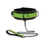 Intoyou Shining Line Glow in the Dark Collar with Leash