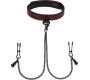 Fifty Shades Of Grey FIFTY SHADES SWEET ANTICIPATION COLLAR NIPPLE CLAMPS