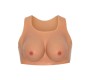 Hidden Desire ALTER EGO WARABLE BREAST TOP C-CUP FLESH