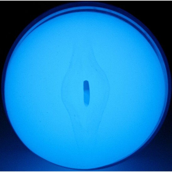 Kiiroo FEEL GLOW IN THE DARK STROKER