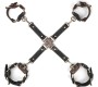 Lovetoy Rebellion Reign Hogtie Set