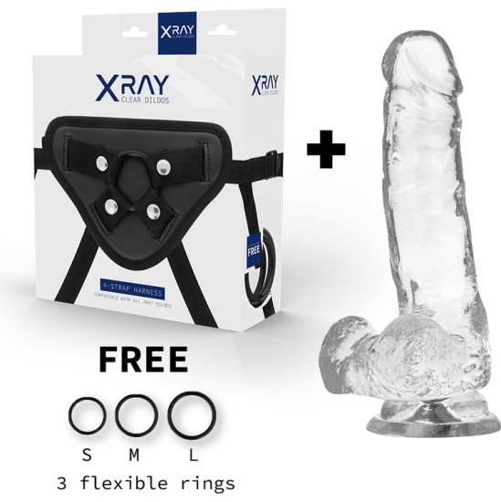 X Ray HARNESS + CLEAR COCK WITH BALLS 18.5 CM -O- 3.8 CM