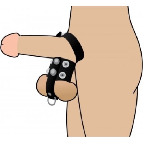 Xr - Strict RING WITH BLACK TESTICLES HARNESS