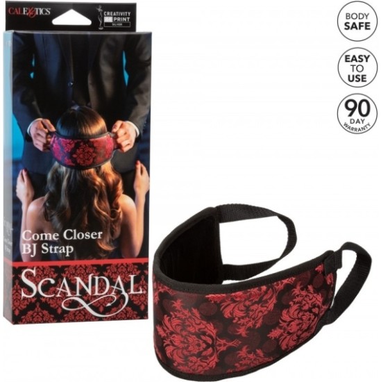 Scandal CONTROLLER HARNESS