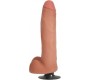 Xr - Jock VIBRATOR PENIS WITH FLESH TESTICLES 28 CM