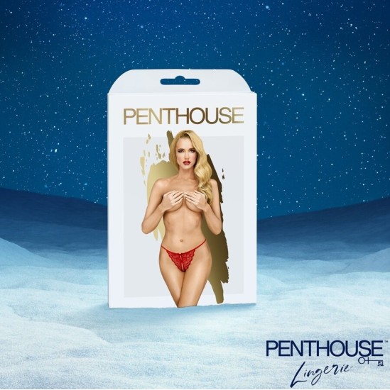 Satisfyer PREMIUM ADVENT CALENDAR 2025