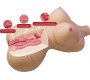 Crazy Bull DIANA REALISTIC FEMALE TORSO VAGINA AND ANAL 5 KG
