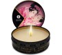 Shunga Candles SHUNGA - MINI CARESS BY CANDLELIGHT DISPLAY MASSAGE CANDLES 24 UNITS