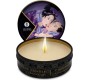 Shunga Candles SHUNGA - MINI CARESS BY CANDLELIGHT DISPLAY MASSAGE CANDLES 24 UNITS