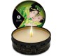 Shunga Candles SHUNGA - MINI CARESS BY CANDLELIGHT DISPLAY MASSAGE CANDLES 24 UNITS