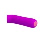 Baile Ford Vibrator USB Purple CL50